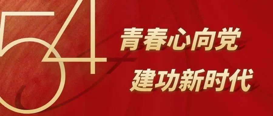 全民烧脑3去广告版